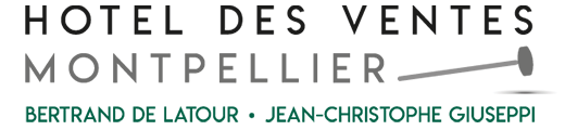 logo hotel des ventes