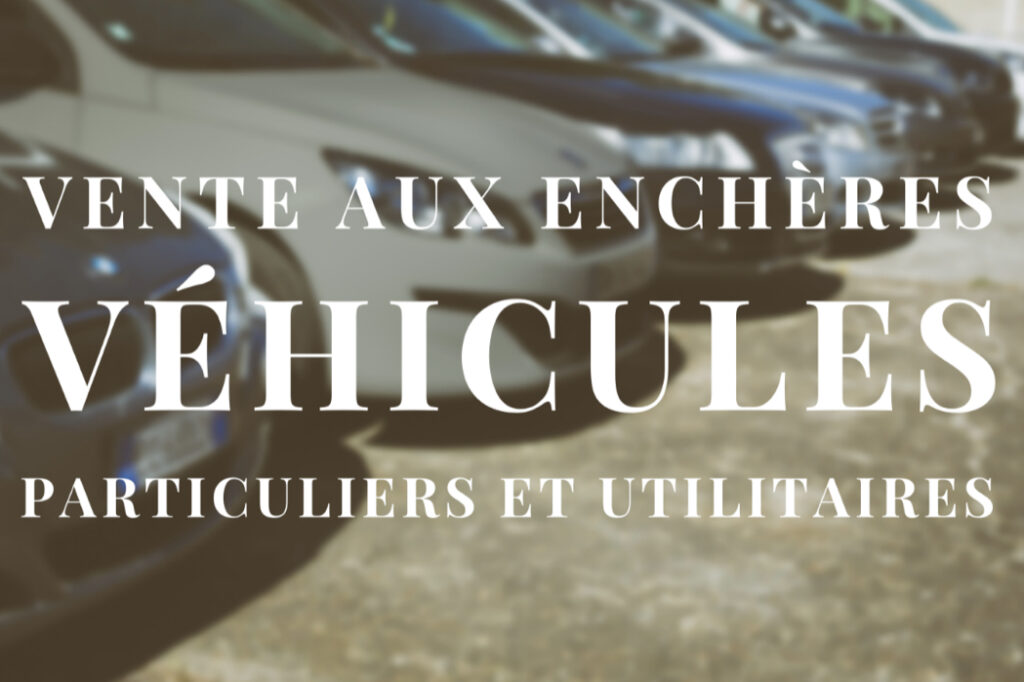 vente aux enchères véhicules pour particuliers et utilitaires